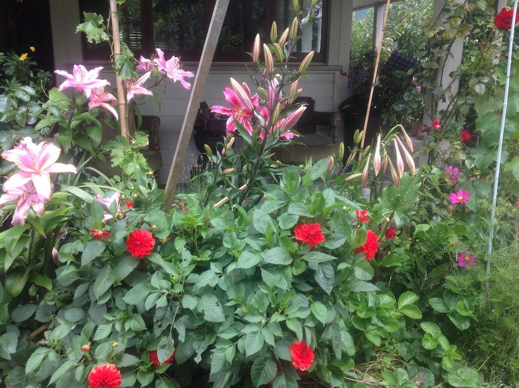 Kippilaw House Bed & Breakfast Picton Luaran gambar